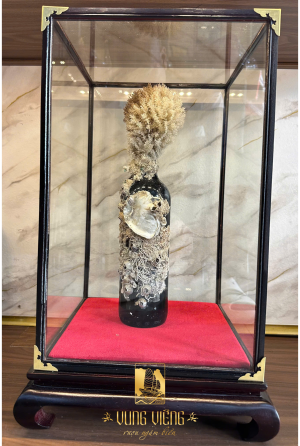 Vang ngâm biển TBN Limited No 03_2017