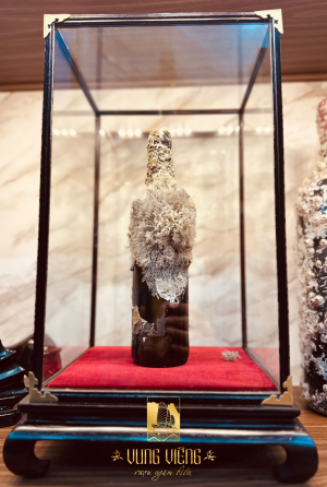 Vang ngâm biển TBN Limited No 08_2017